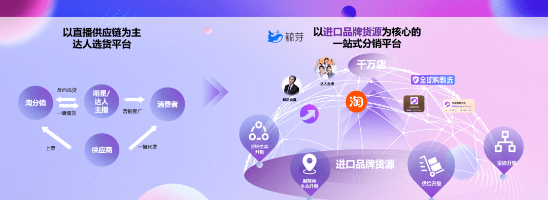 进口分销平台鲸芽连续三个月增超60%