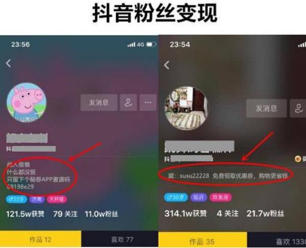 抖音怎么赚钱,抖音零粉丝如何流量变现-偏门行业网