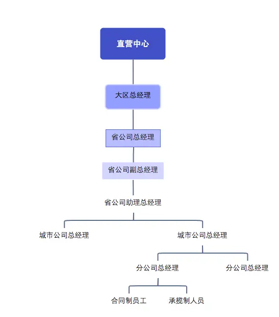 图说:凤凰网《风暴眼》根据公司PPT资料及受访者提供信息整理的直营线组织架构