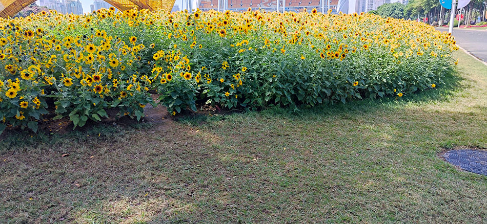 你要知道她的过往，最开始就不要交往了