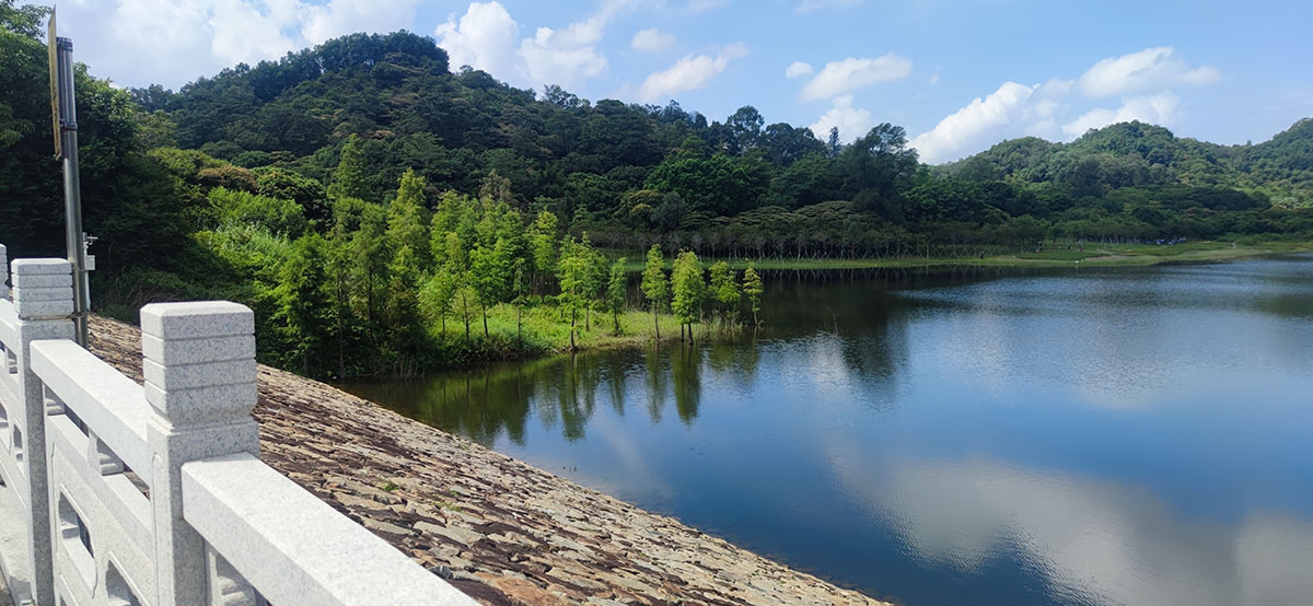 只有学会改变，才有更好未来