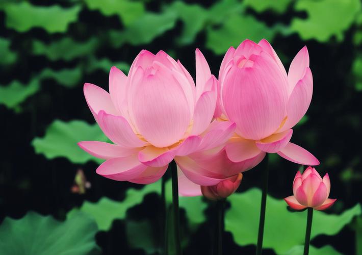 想要家庭幸福，从改变你的语气开始