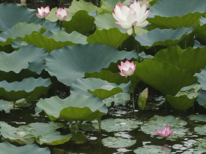 你希望别人怎么待你，你就要学会如何待别人