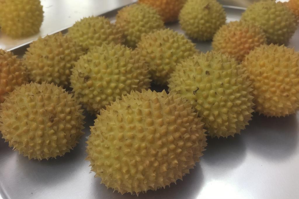 买榴莲要挑母的，牢记6个窍门，皮薄肉厚香甜