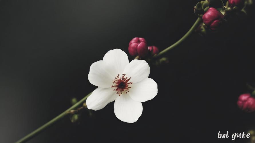 如何看透人的心理