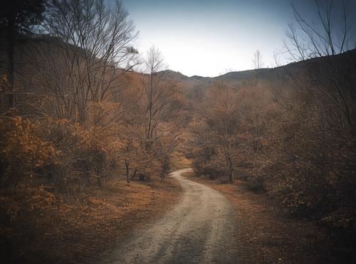 没有远见的人，只会原地踏步