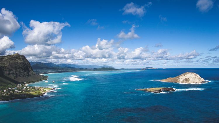 简单的事情复杂化，公开的事情隐蔽化，说一套做一套成为行业标准