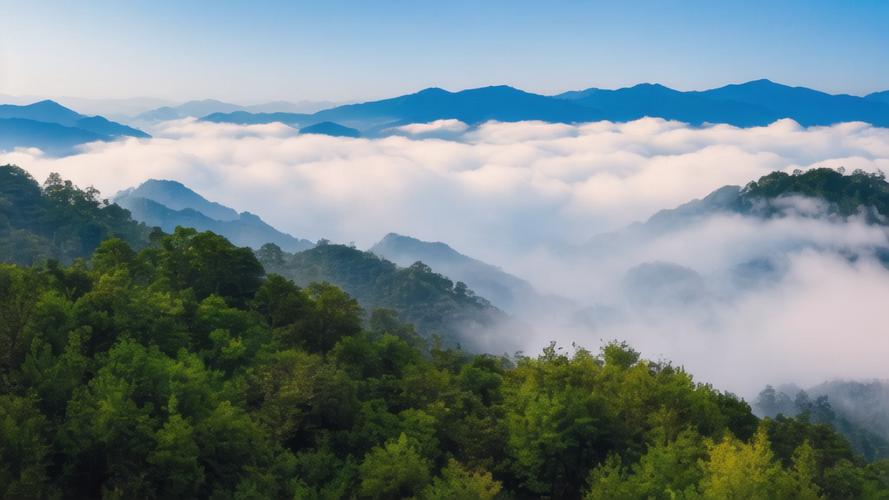  毛泽东的一次被捕—除了樊崧甫之外，没有第三个人知