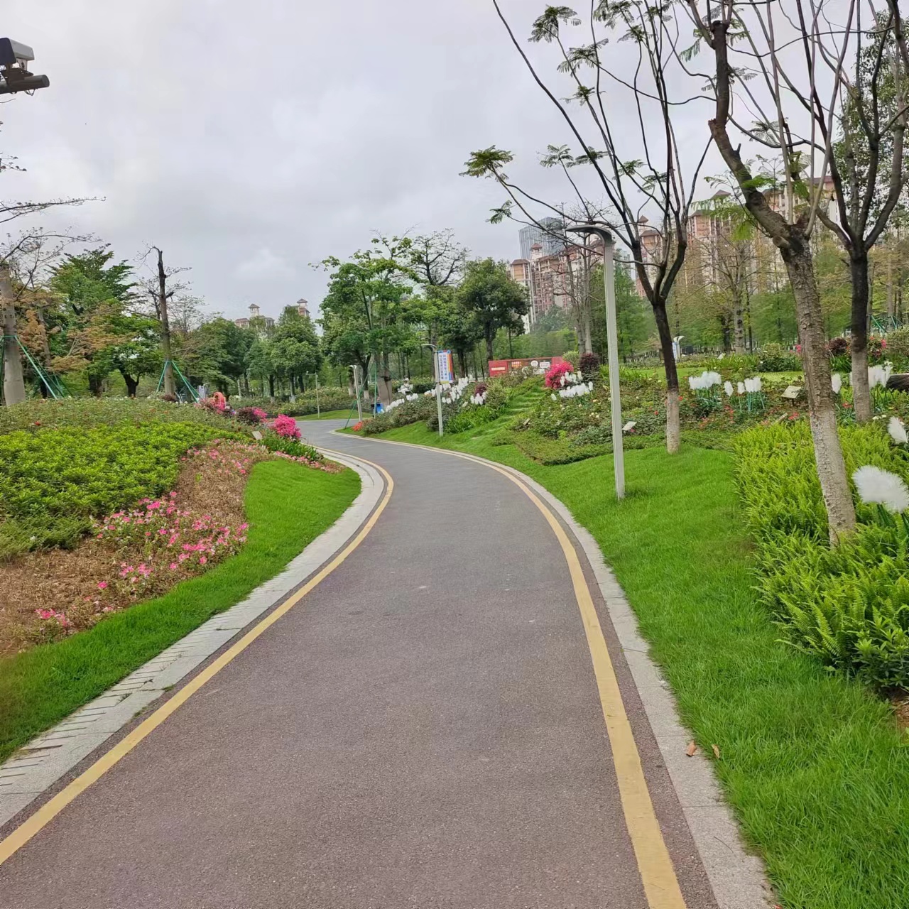 财务制度对财务管理的影响