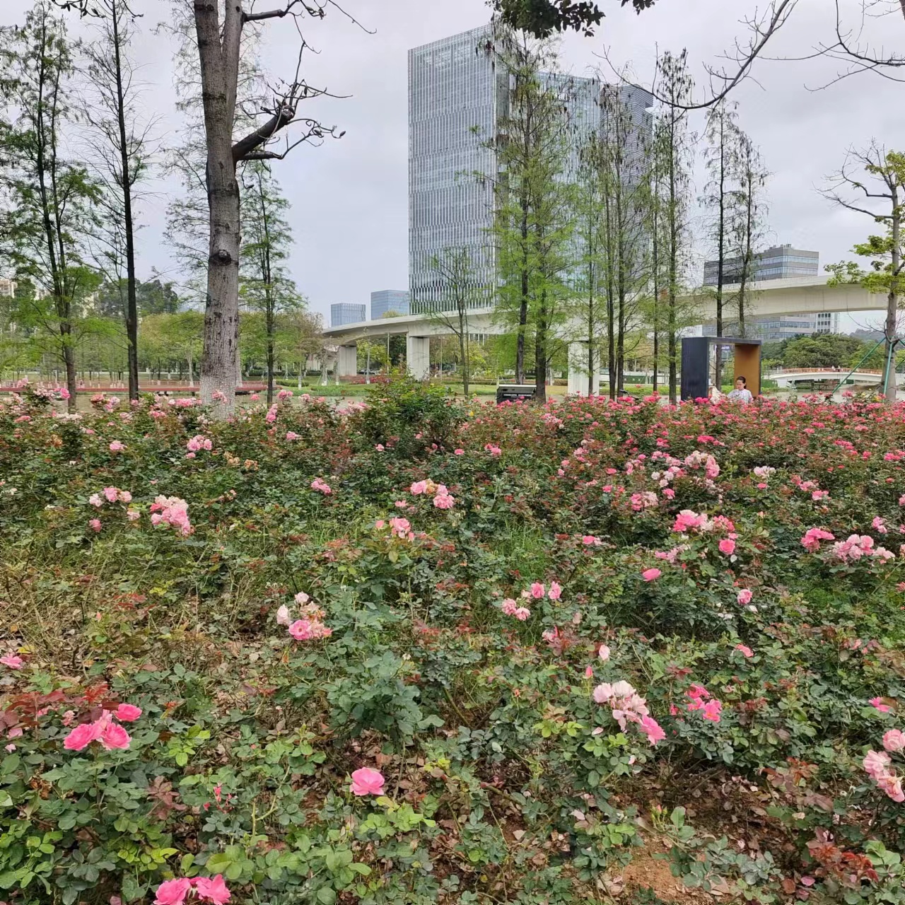 贷款小常识：如何合规使用？避免陷阱