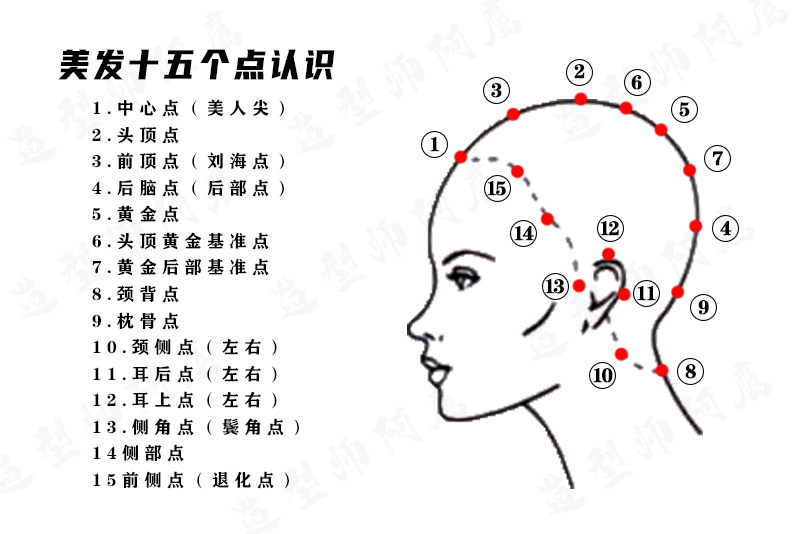 头型十五个点位