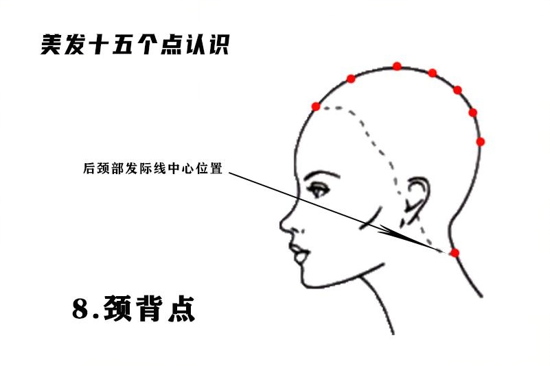 颈背点.png