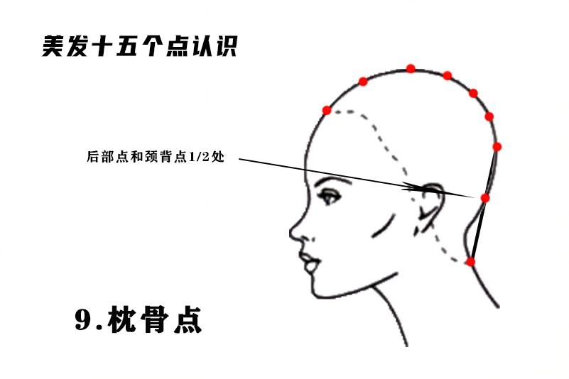 枕骨点.png