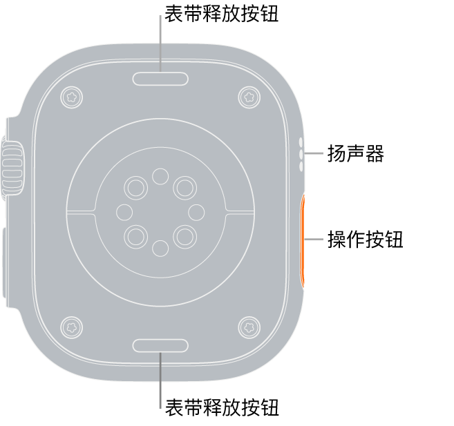 Apple&nbsp;Watch&nbsp;Ultra 的背面，顶部和底部是表带释放按钮，中间是电子心率传感器、光学心率传感器和血氧传感器，侧边是扬声器/通风孔。