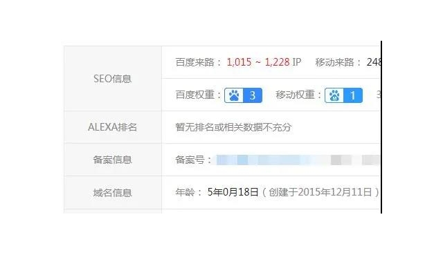 网站seo,即将成为“冷门项目”的项目！