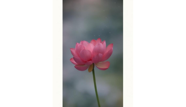 人性，才是人生的第一堂课