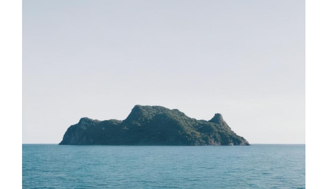 弱者只会哀嚎，强者悄悄发奋