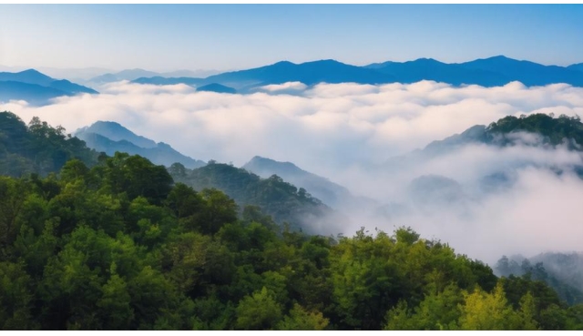  毛泽东的一次被捕—除了樊崧甫之外，没有第三个人知