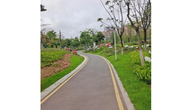 借助别人的智慧，成就自己的未来