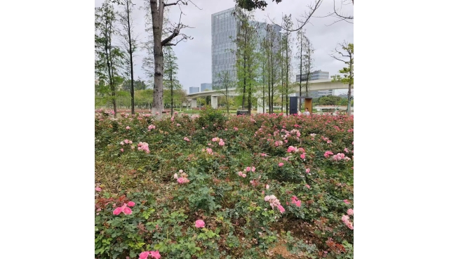 贷款小常识：如何合规使用？避免陷阱