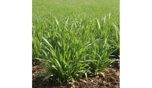 2024年最新创业陷阱大揭秘！身边人损失惨重，都说看到这篇文章太晚了！