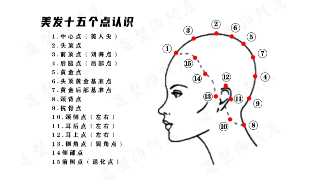 头型十五个点位