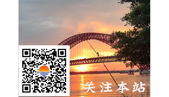 马斯克称5年后手机彻底消失，大量职业被AI代替，仅两类工作能活